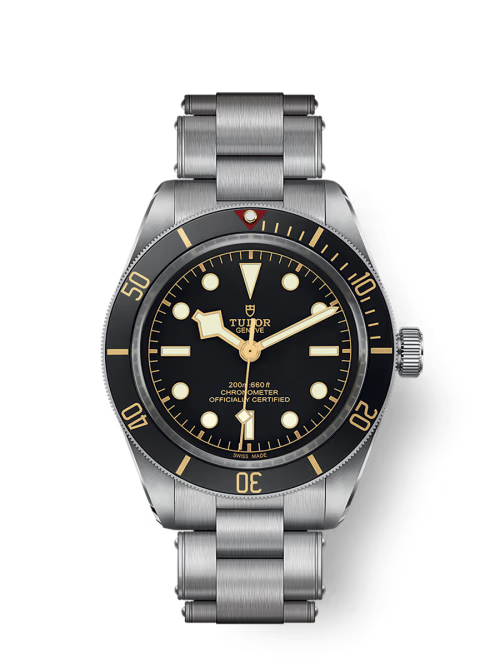 Tudor Black Bay
