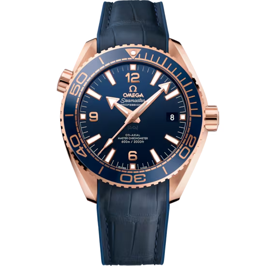 Omega Sea Master Planet Ocean 600M